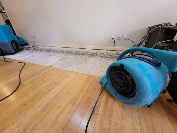Professional Emergency Water Damage technician working in Le Sueur, MN